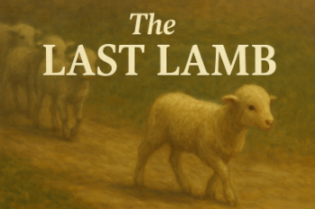 The Last Lamb The Last Lamb Message Image